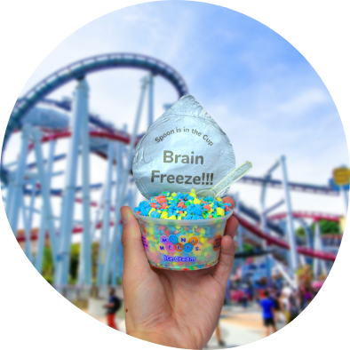 mini melts ice cream at amusement parks